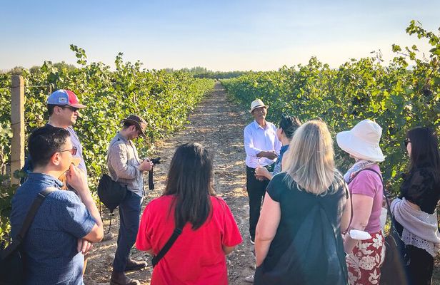 3-Day 2-Nignt Wine Taste Through China's Wine Region of Ningxia