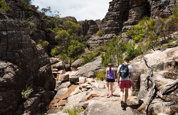 Grampians National Park Small-Group Eco Tour from Melbourne