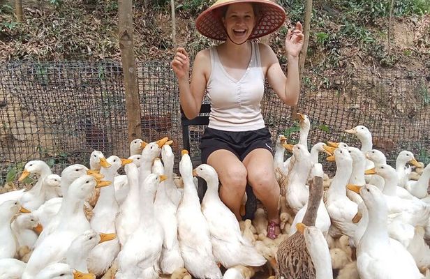 Conquering Duck massage at Duck Farm by Bicycle Tour