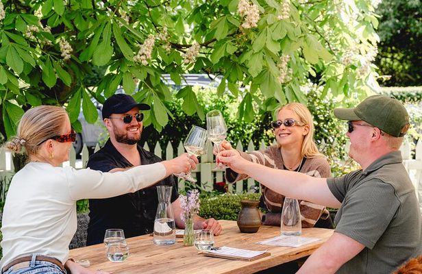 Queenstown Wine Tour