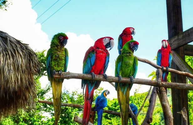 La Hacienda Park Tour