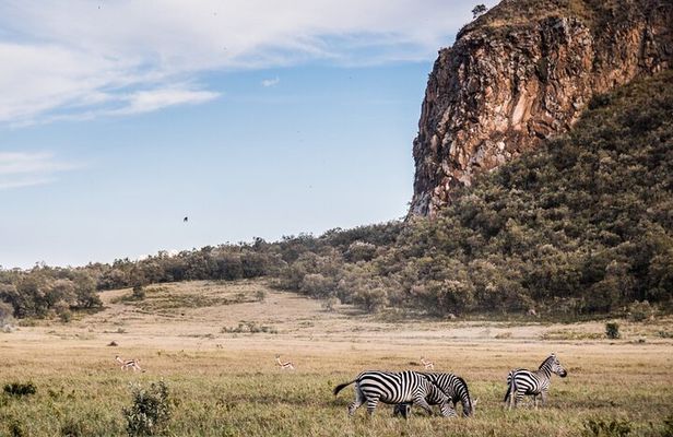 Day Trip to Hell's Gate National Park and Lake Naivasha