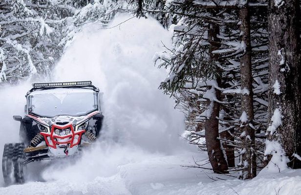 Lapland Discovery Experience Private Tour 