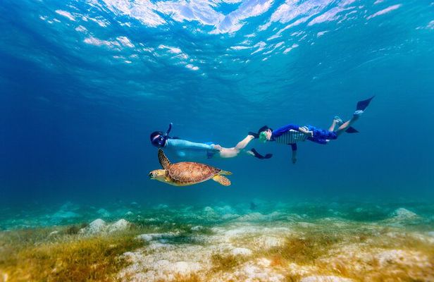 Turtle Canyon Snorkel Adventure - Small Group 6 Passengers