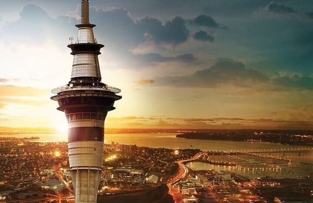 Auckland City Highlights Private Tour