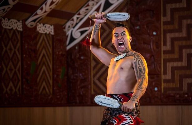 Waitomo Glow Worm Caves & Te Puia (Rotorua) Private Tour