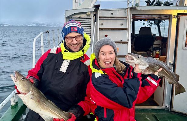 Tromso Sea Safari Tour