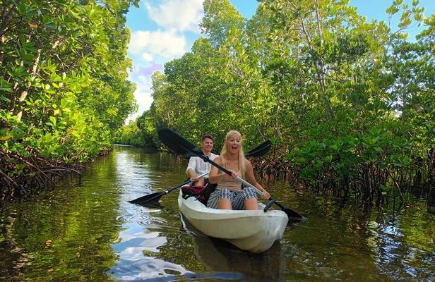 Full day Mangrove kayak + Jazani forest + kuza cave + Paje beach