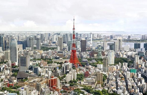 Tokyo Private Tour by Van with English Guide and Photography