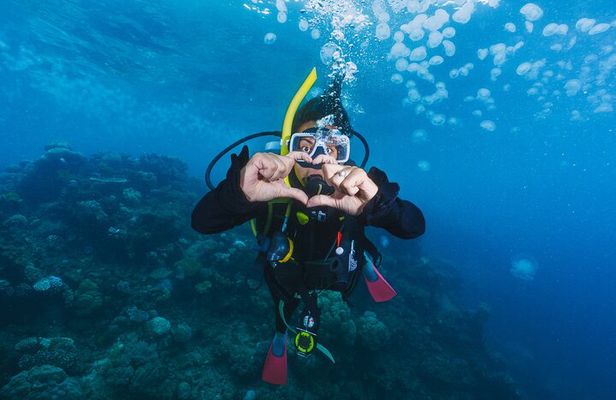 Scuba Diving for Beginners With Lunch in Hurghada