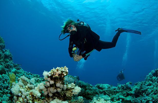 Intro Scuba Diving for Beginners in Sharm El-Sheikh