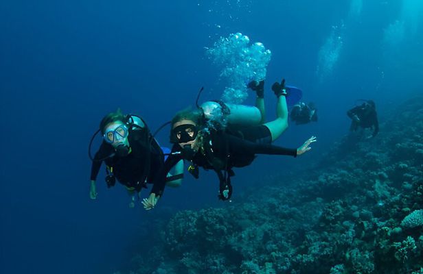 Intro Scuba Diving for Beginners With Lunch in Marsa Alam