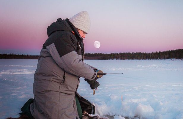 Authentic Reindeer Experience and Ice Fish with Lunch in the Wild