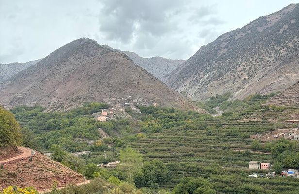 Private Atlas Mountain Discovery Day: remote Amazigh village