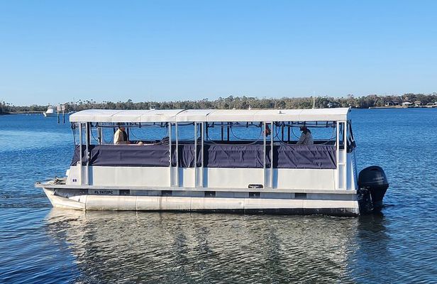 Afternoon Crystal River Ecological Boat Tour