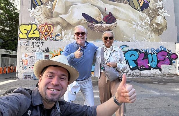 Santiago Half Day City Tour Private with Vehicle