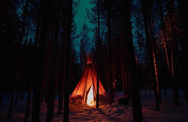 Ivalo: Aurora Hunting with Reindeer