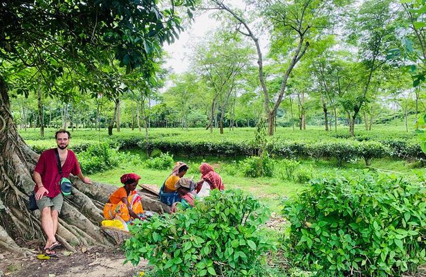 Charubala Homestay: 4-Day Village Life in Sylhet, Bangladesh