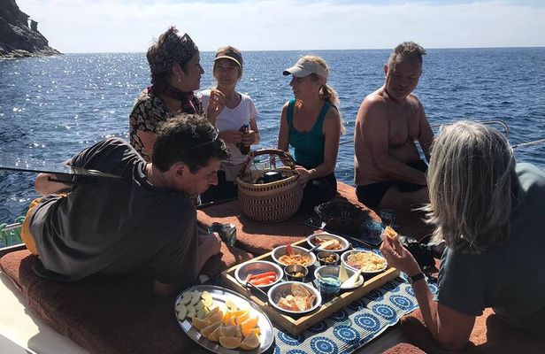 Small Group Boat Whale and Dolphin Watching Tour