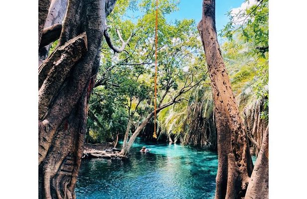Materuni Waterfall, Chemka Hot Spring and Traditional Coffee Tour