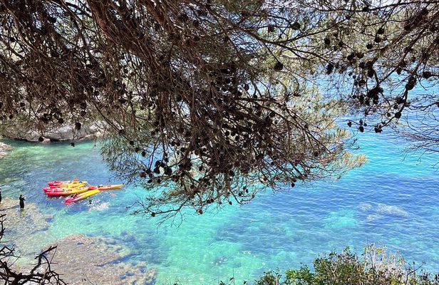 Awaken the Adventure! Kayak at 8am