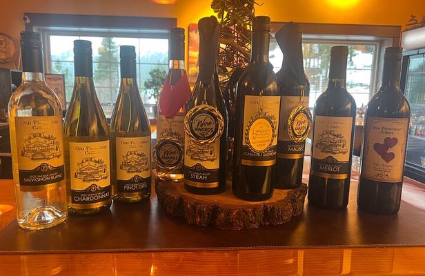 Private Wine Tasting in the American Alps 