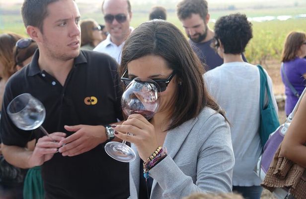 From Valencia: Vineyard Tour with Local Wine Tasting & Appetizer