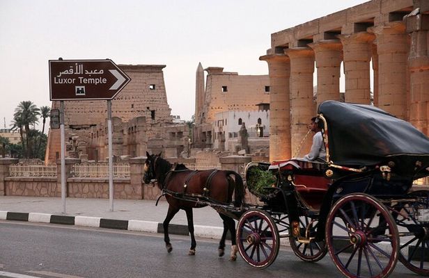 Luxor City Horse Carriage Tour: Dine and Discover