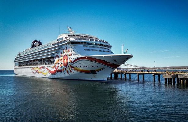 Punta Tombo Shore Tour for NCL Star Passengers in Puerto Madryn