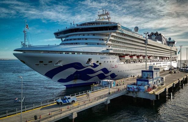 Punta Tombo Shore Tour for Princess passengers in Puerto Madryn