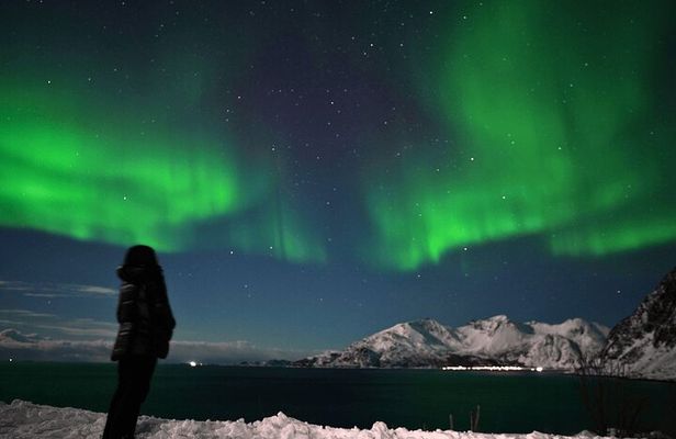 AURORA Northern Lights 8 HOURS Relaxed Moments (8 people)+photos