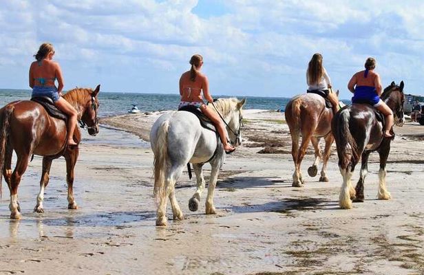 Beach Horse Ride - Hotel Pickup & drop-off included. CAPE TOWN