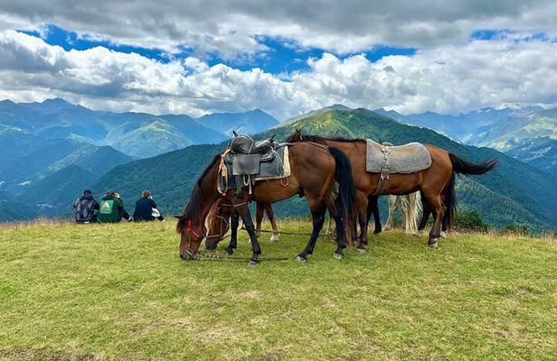 Your Tusheti Experience Awaits - Local Guides, Unforgettable Tour