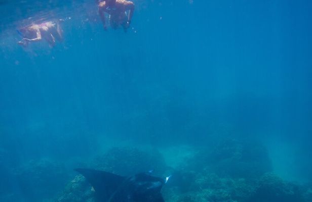 Full Day Bora Experience - Snorkeling Excursion & ATV Adventure