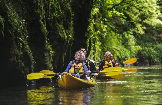 Daytime Canyon Kayak Tour