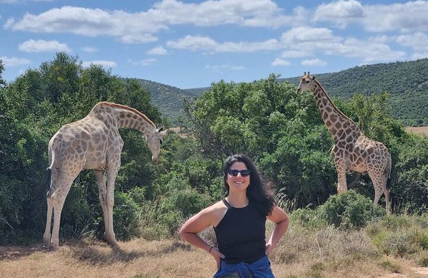 Full-Day Schotia Game Reserve & Giraffe Walk (Open 4x4 Vehicle)