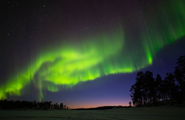 Ivalo: Wilderness Adventure by Snowmobile Sleigh