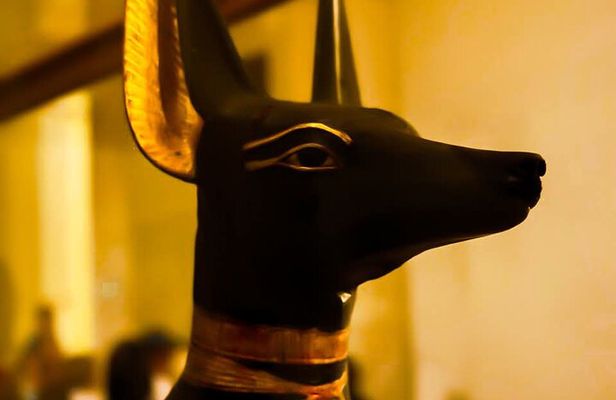 Full Day Giza Pyramids and Egyptian Museum