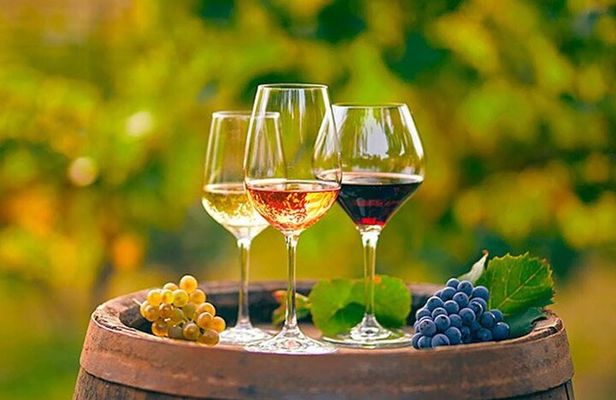 Alicante: Old Winery with Tastings & Gaudí's style of Church