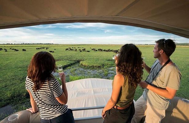 Chobe Day Trip From Victoria Falls Zimbabwe