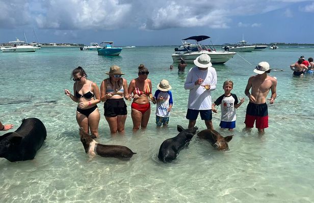 Nassau: Pig Island and Snorkeling Experience 