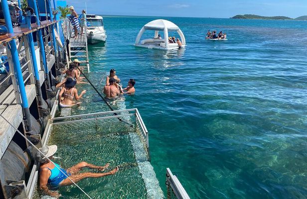 Ponton Day Trip SWIM with Turtles All meals included & Transport