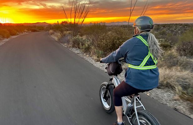 Sunset Saguaro National Park, East Guided E-Bike Tour