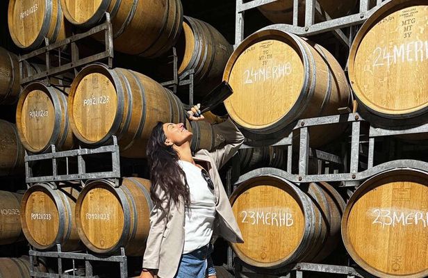 Auckland City Scenic Tour with Wine Tasting + Lunch