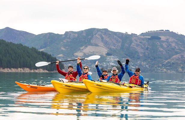 Sea Kayaking Christchurch, Lyttelton Harbour & Quail Island