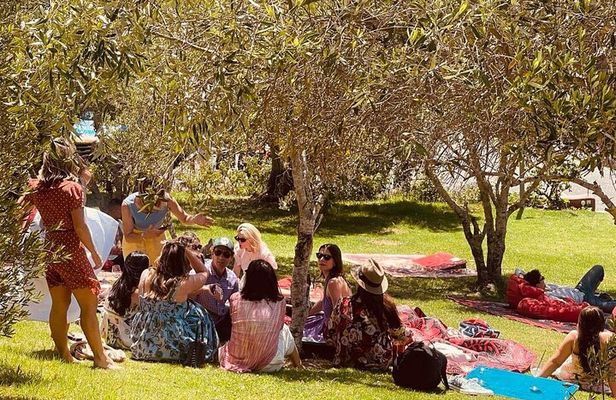 Waiheke Island Wine Tour with Tastings & Gourmet Beachfront Lunch