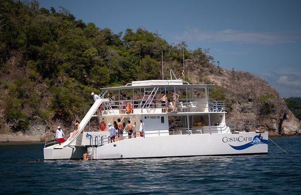 Marine Life Watch and Sunset Cruise with Costa Cat