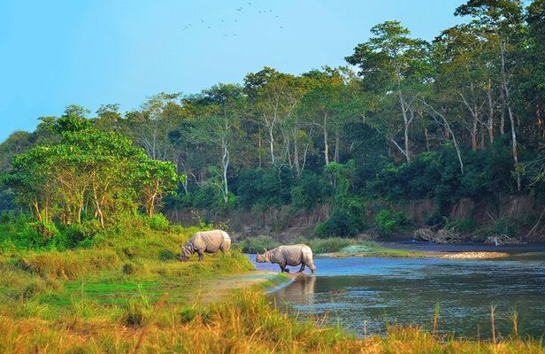 2 Night 3 Day Chitwan Jungle Safari Tour from Pokhara