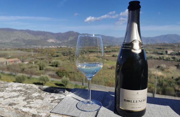 Castelmola and Etna Wine Tasting Tour from Messina