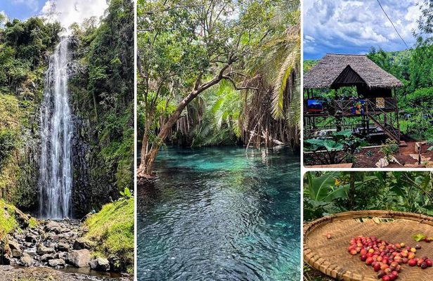 Waterfall, coffee tour & hot springs - lunch and drinks included 